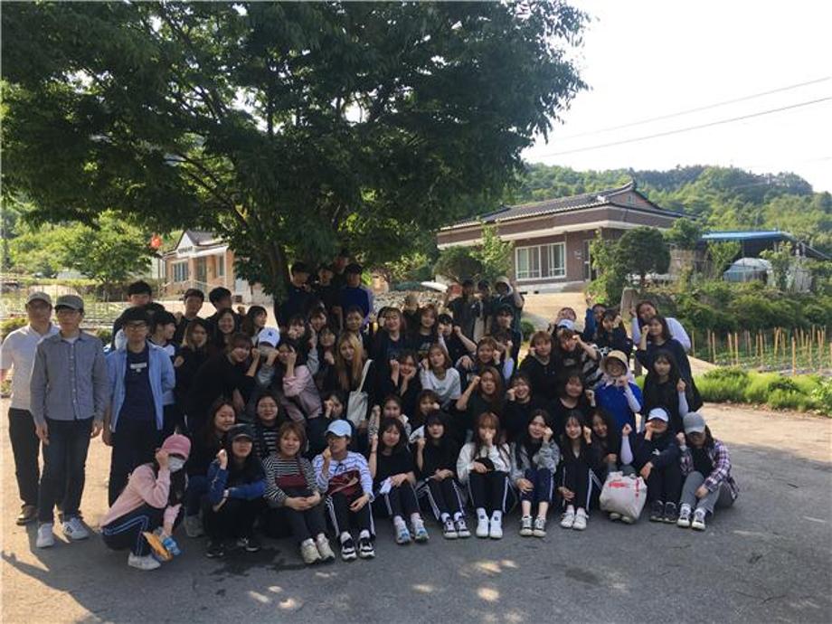 2017년 봉사활동