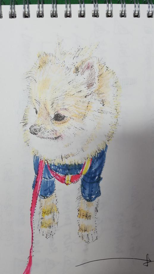 [이지석교수의 슬기로운 펫라이프] 카리스마 단비 ^^