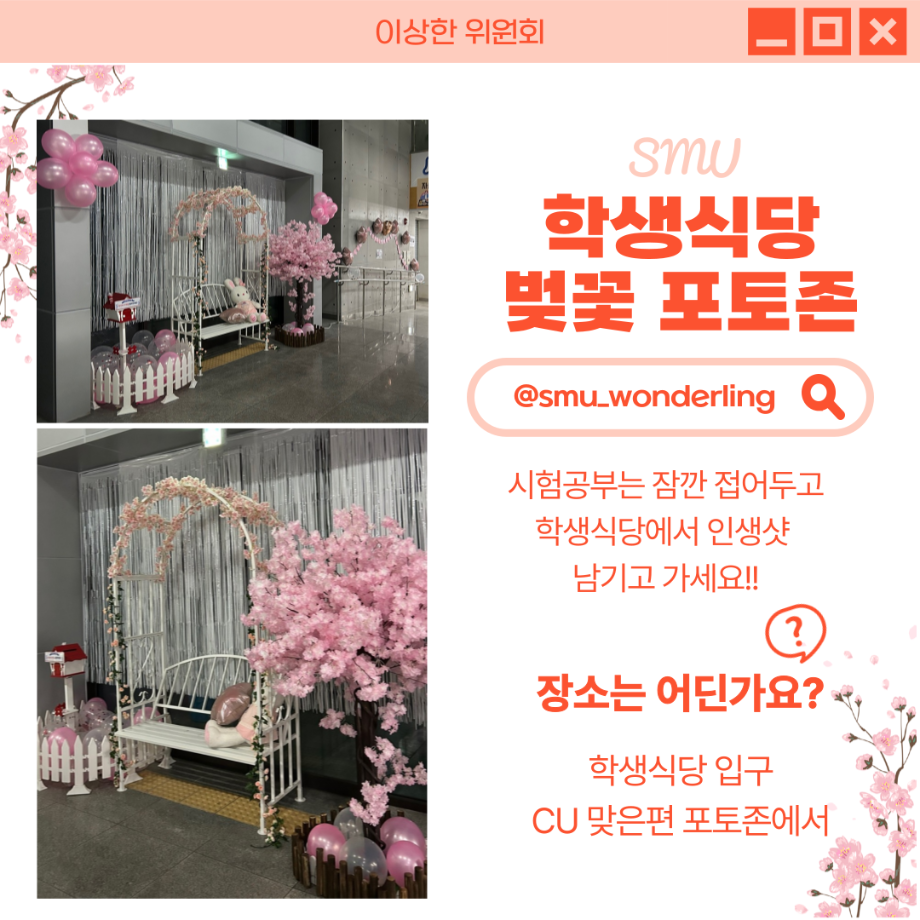 [이상한 위원회]🌸이상한 위원회 벚꽃 포토존 홍보🌸