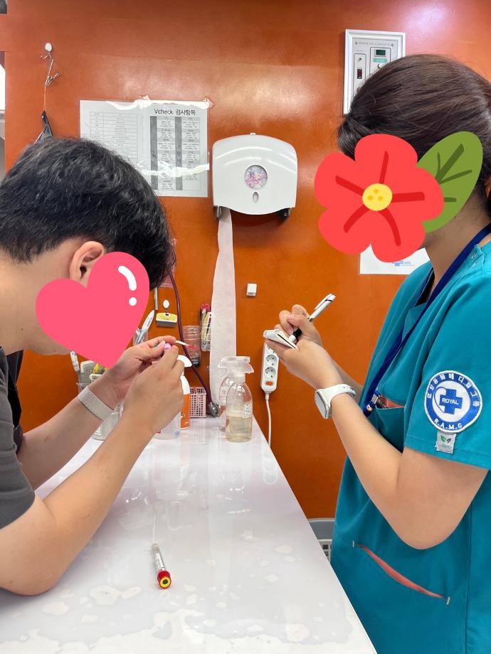 동물병원 현장실습: 현장에서 배우는 전공의 힘