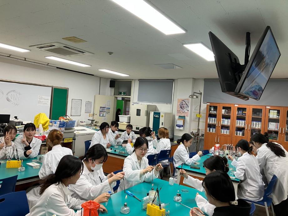 스트리킹&카탈라아제 테스트