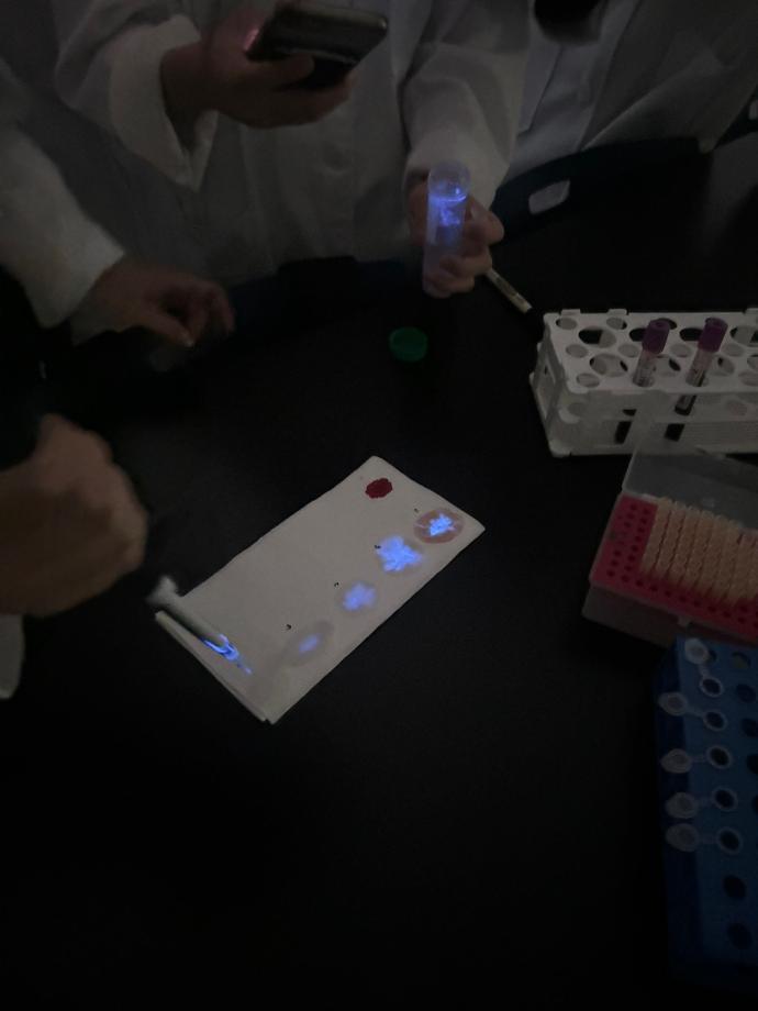 루미놀 반응 실험