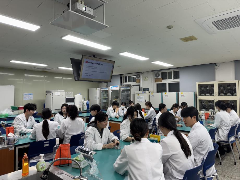 catalase&oxidase test