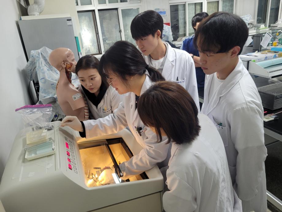 포매 및 동결절편