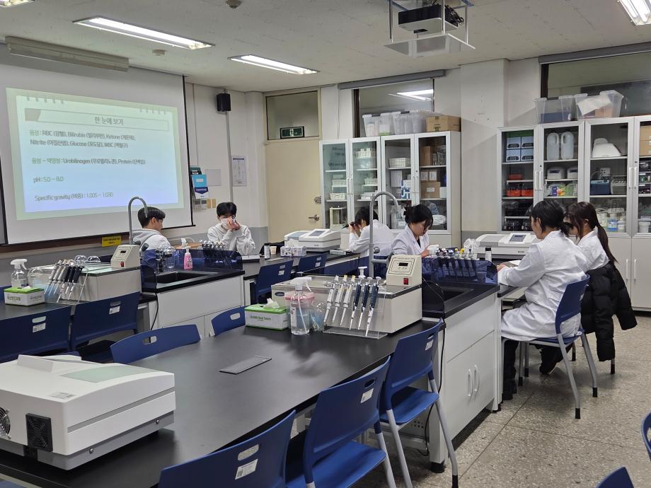 요의 물리적 검사 및 화학적 검사