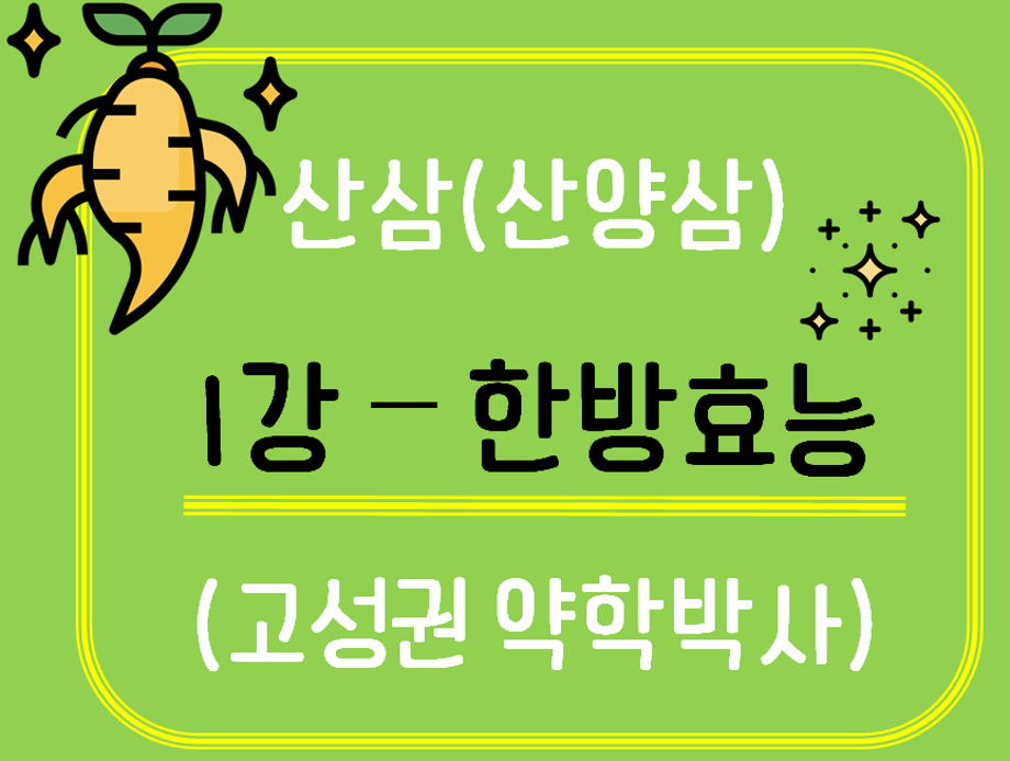 [생약알아보기] 산삼(산양삼)_1강 한방효능 
