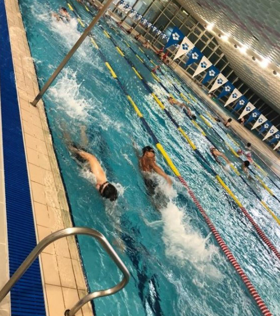 스포츠교양 이미지2