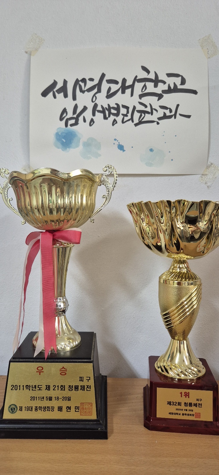 청룡체전 피구부문 우승